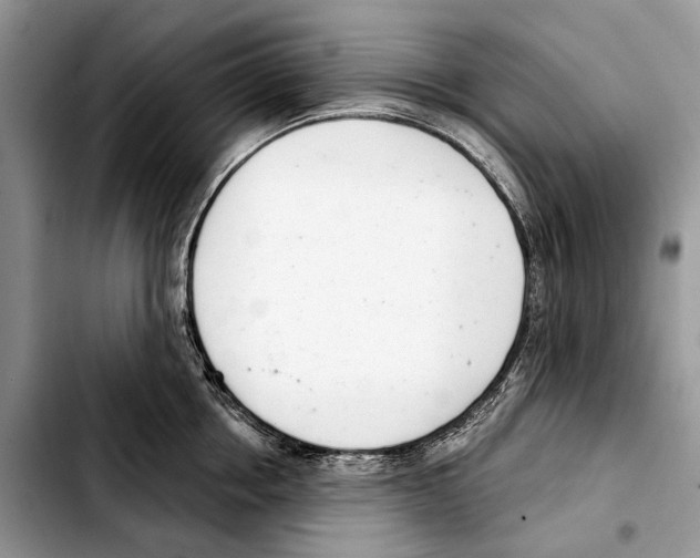 X0000103440858200810101103