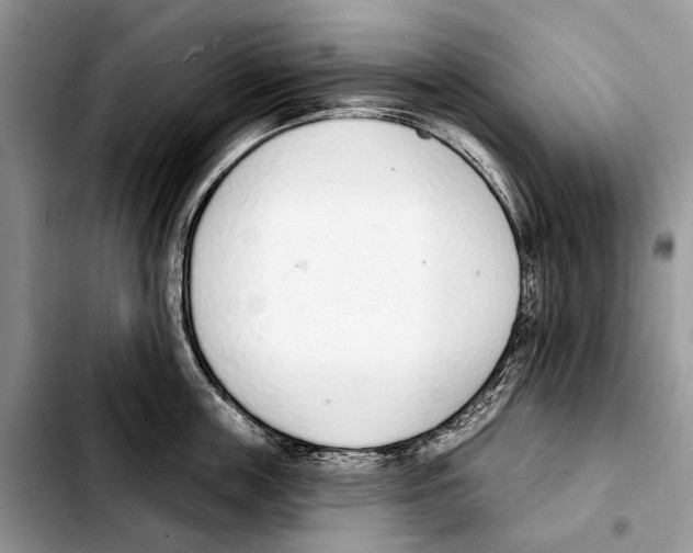 X0000103440859200810101103