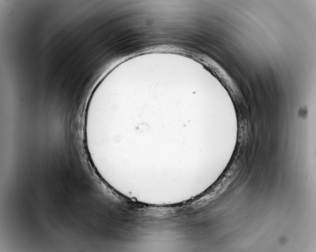 X0000103440860200810101104