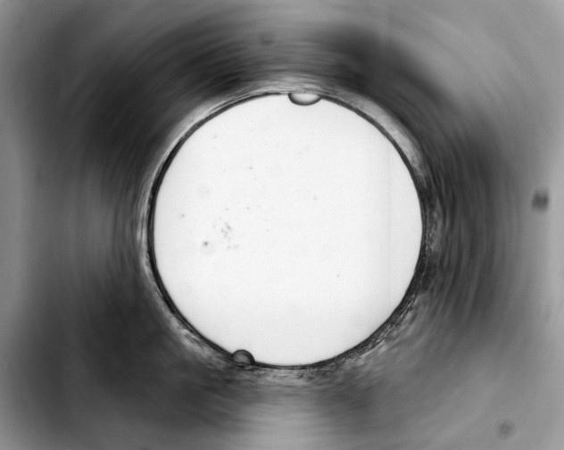 X0000103440861200810101104
