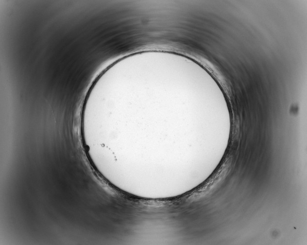X0000103440862200810101104