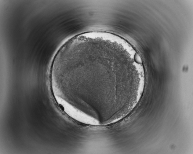X0000103440864200810101104