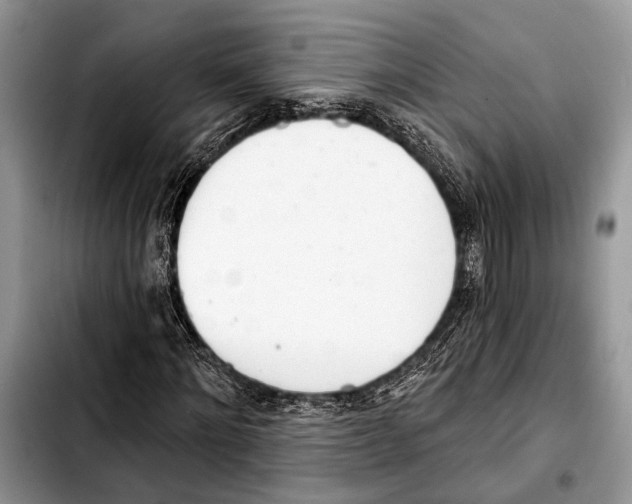 X0000103440868200810101103