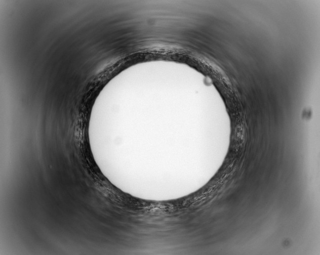 X0000103440869200810101103