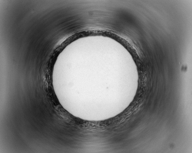 X0000103440871200810101103