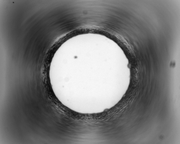 X0000103440872200810101103
