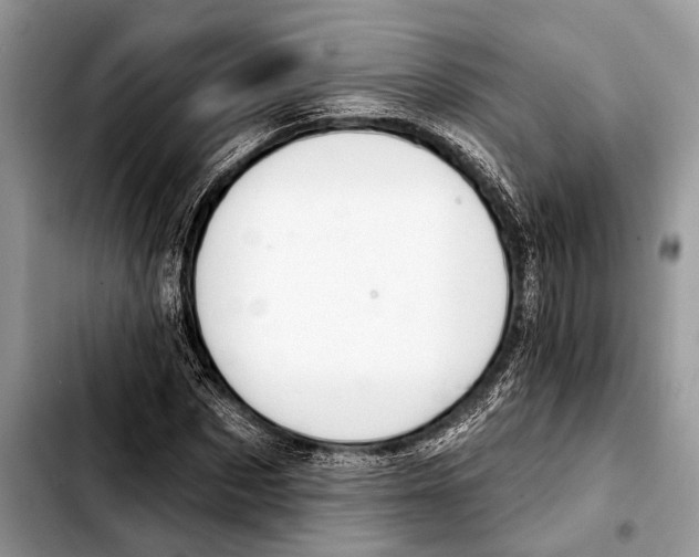 X0000103440873200810101103