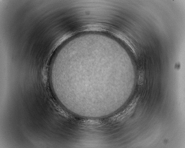 X0000103440874200810101103