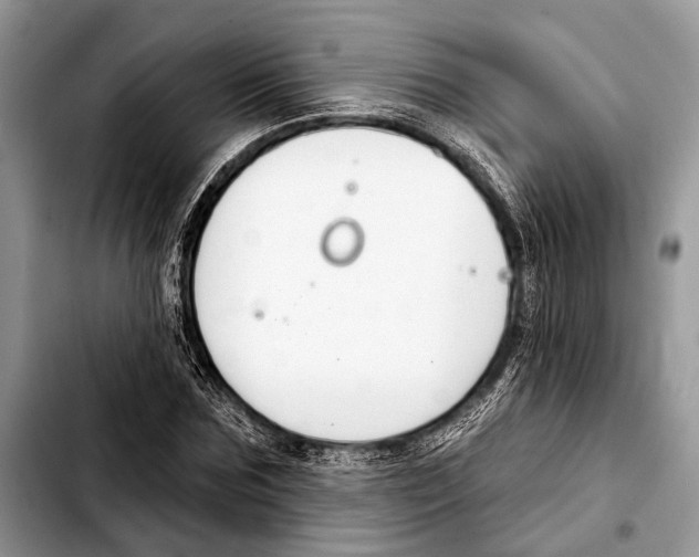 X0000103440875200810101103