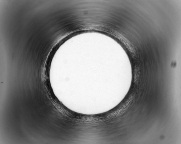 X0000103440876200810101103