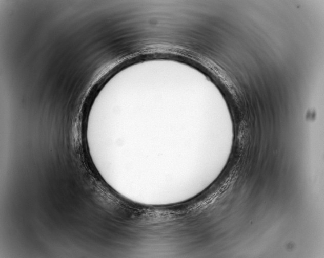 X0000103440877200810101103