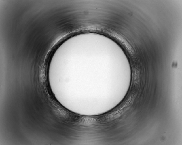 X0000103440878200810101103