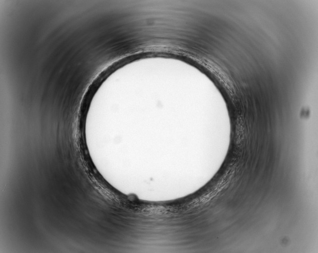 X0000103440880200810101103