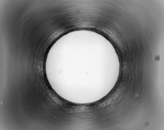 X0000103440881200810101103