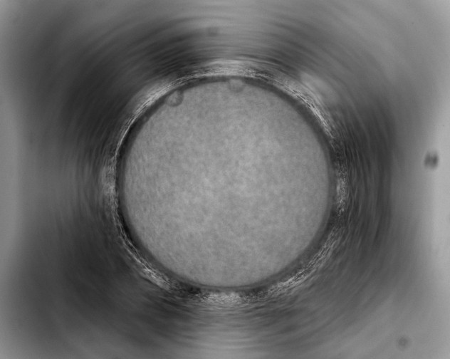 X0000103440882200810101103