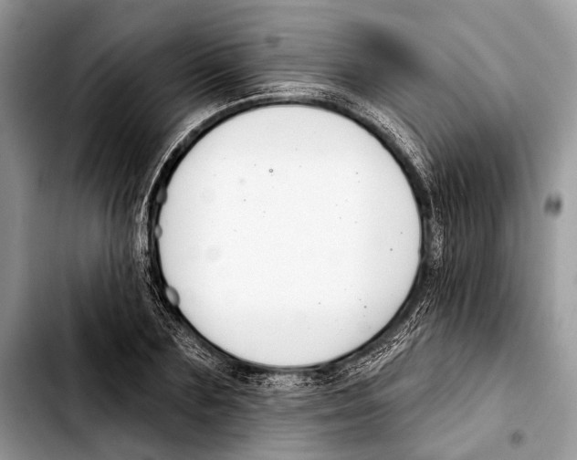 X0000103440883200810101103