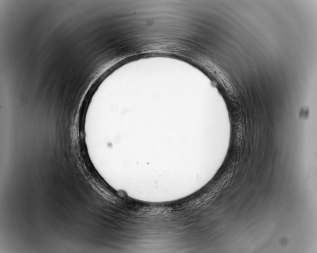 X0000103440884200810101103