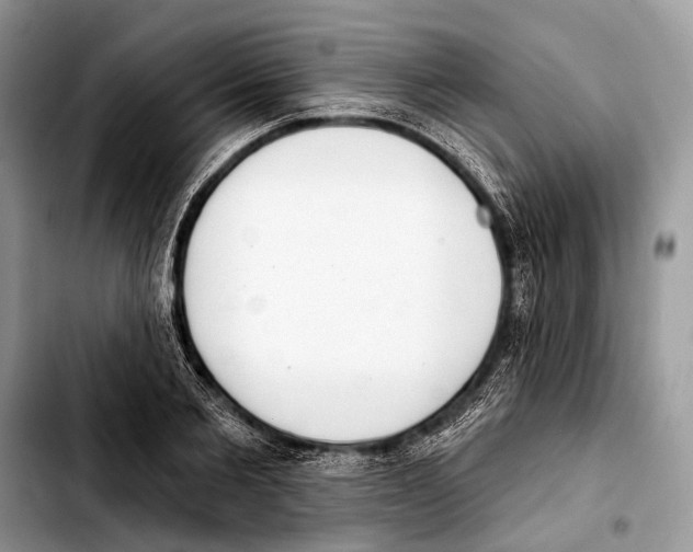 X0000103440885200810101103