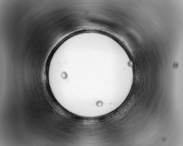 X0000103440887200810101103