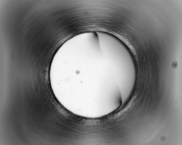 X0000103440889200810101103