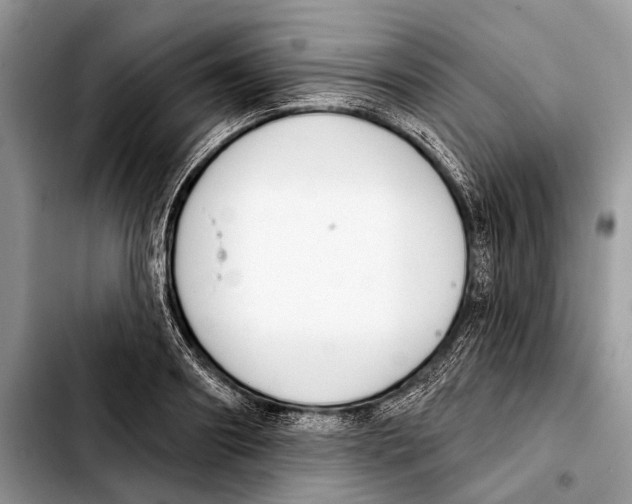 X0000103440890200810101103