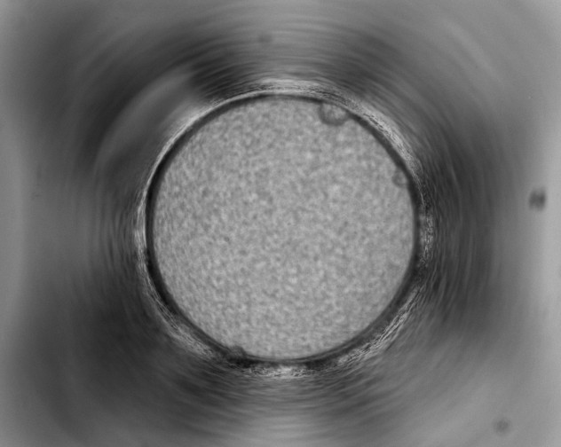 X0000103440891200810101103