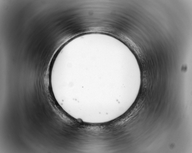 X0000103440892200810101103