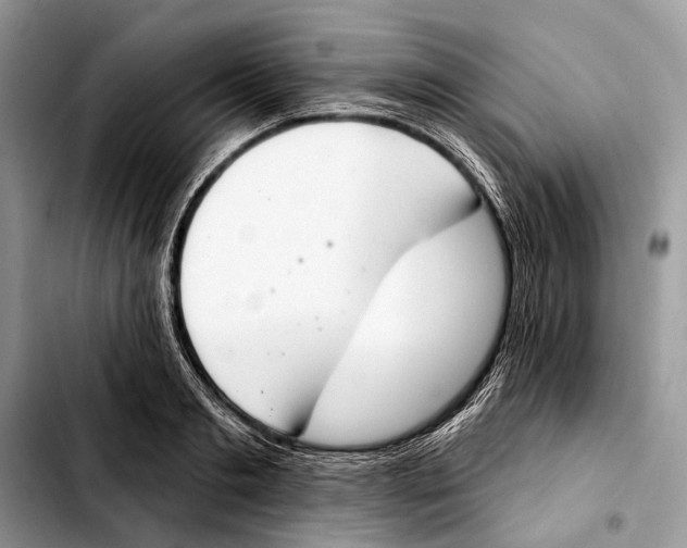 X0000103440893200810101102