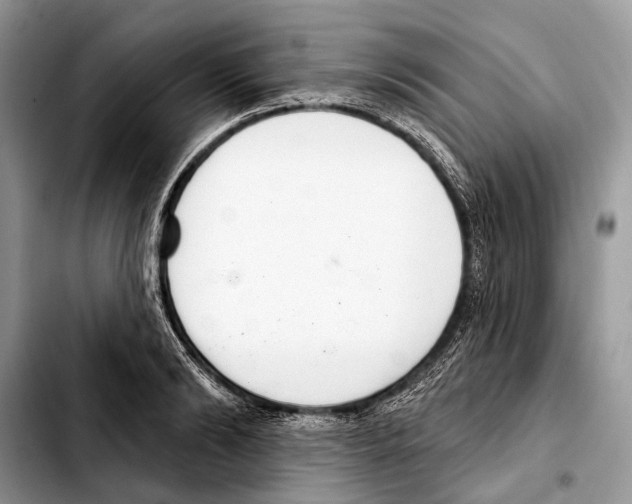 X0000103440894200810101102
