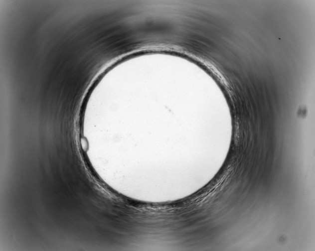 X0000103440895200810101102