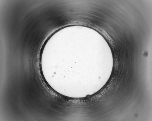 X0000103440896200810101102