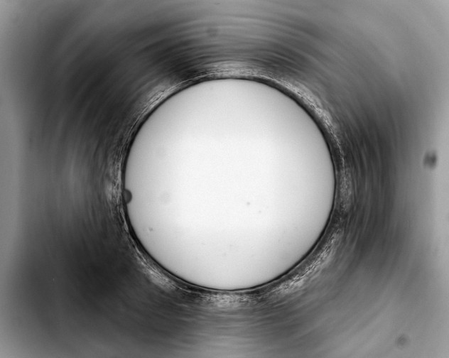 X0000103440897200810101102