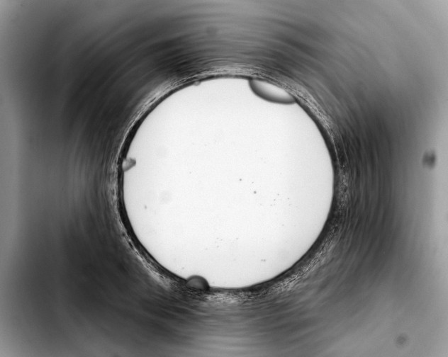 X0000103440898200810101102