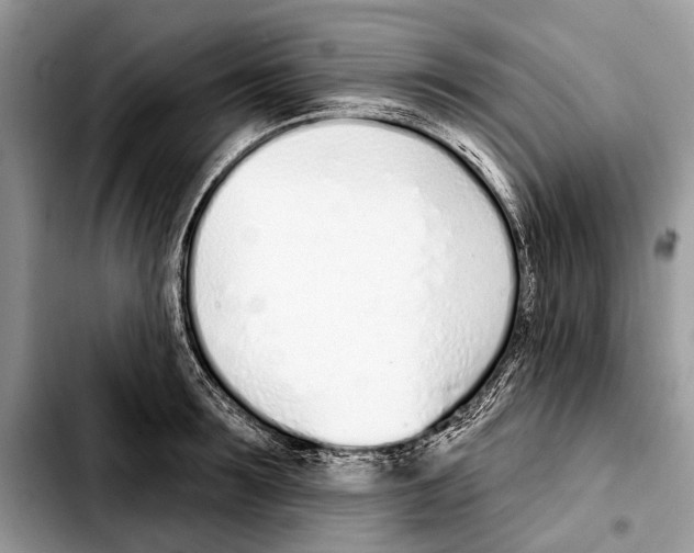 X0000103440899200810101102