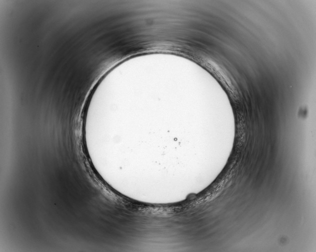 X0000103440900200810101102