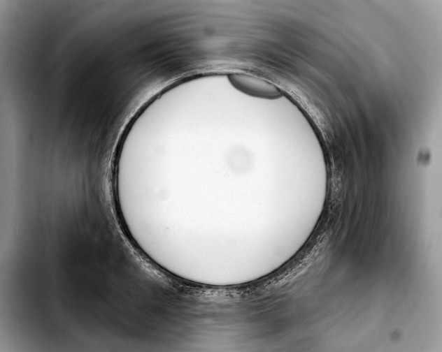 X0000103440901200810101102