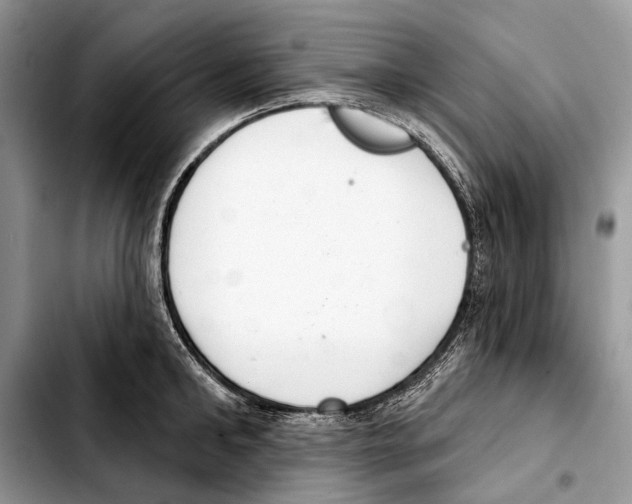 X0000103440902200810101102