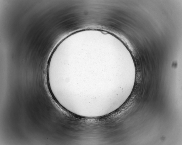 X0000103440903200810101102