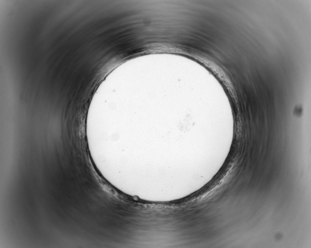 X0000103440905200810101102