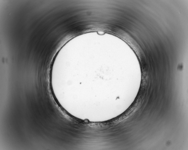 X0000103440906200810101102