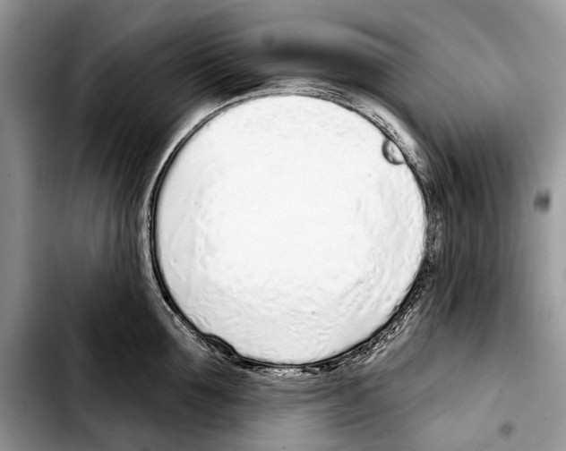 X0000103440907200810101102
