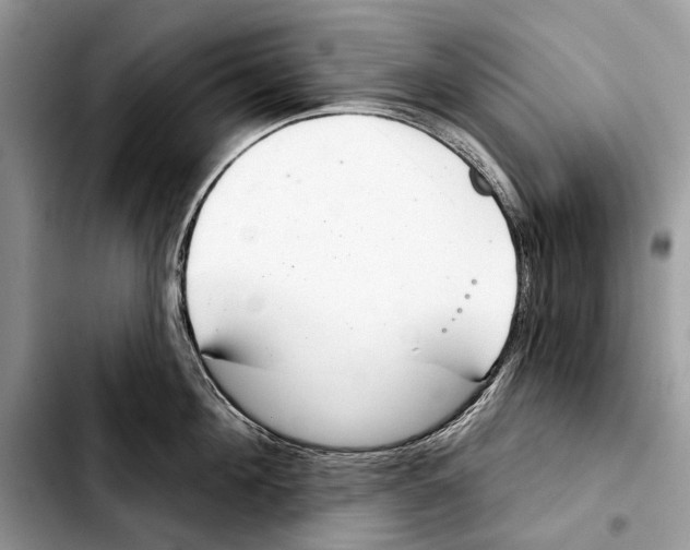 X0000103440908200810101102
