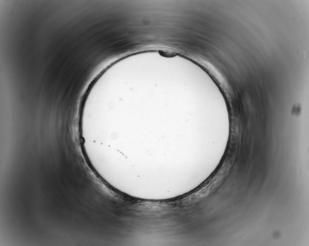 X0000103440910200810101102