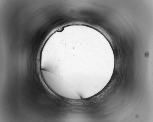 X0000103440911200810101102