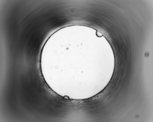 X0000103440912200810101102