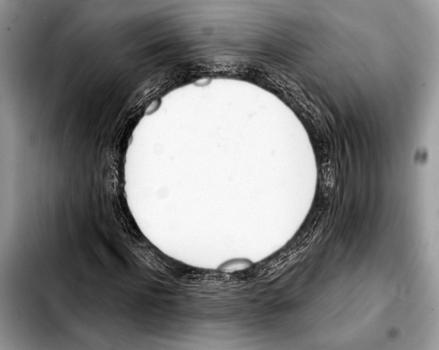 X0000103440916200810101102