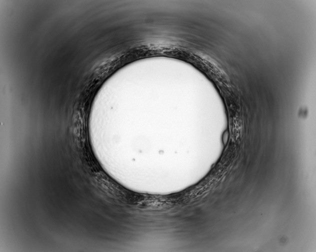 X0000103440917200810101102