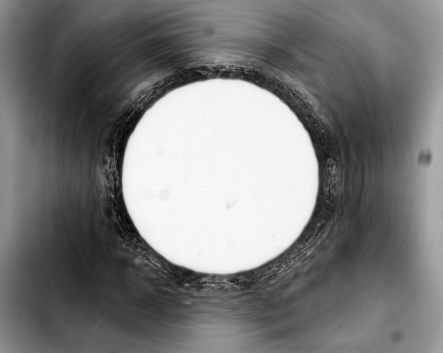 X0000103440918200810101102