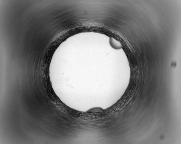 X0000103440919200810101102