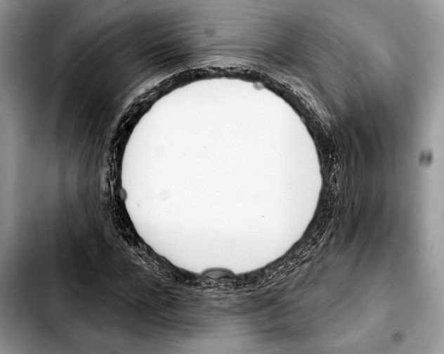 X0000103440920200810101102
